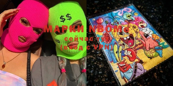 твердый Новодвинск