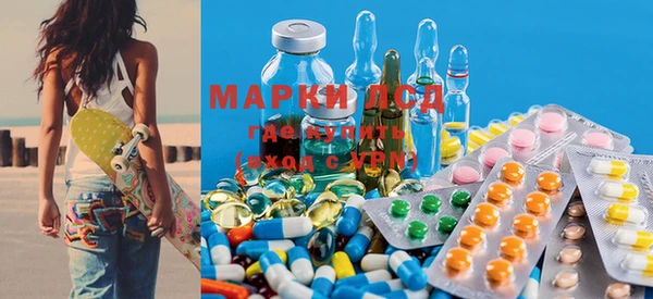 твердый Новодвинск