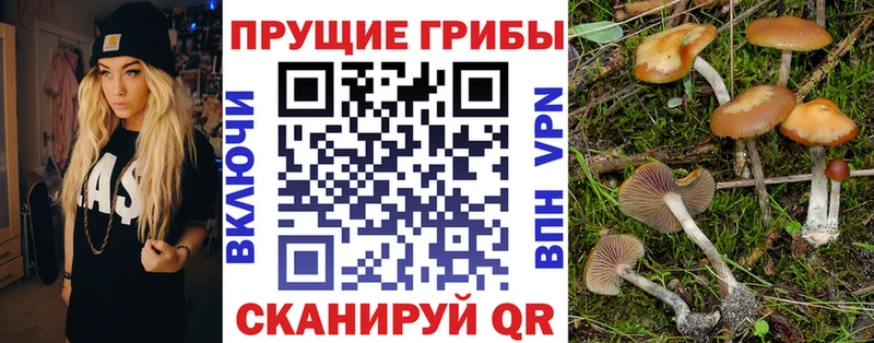 Псилоцибиновые грибы MAGIC MUSHROOMS  Купить закладки  Алапаевск 